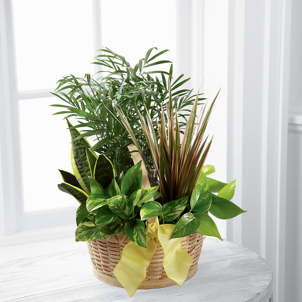 French Garden – VEEDERSBURG FLORIST & GIFTS, Veedersburg IN