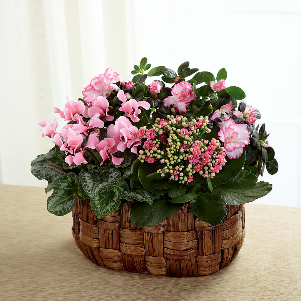 Pink Assortment – VEEDERSBURG FLORIST & GIFTS, Veedersburg IN