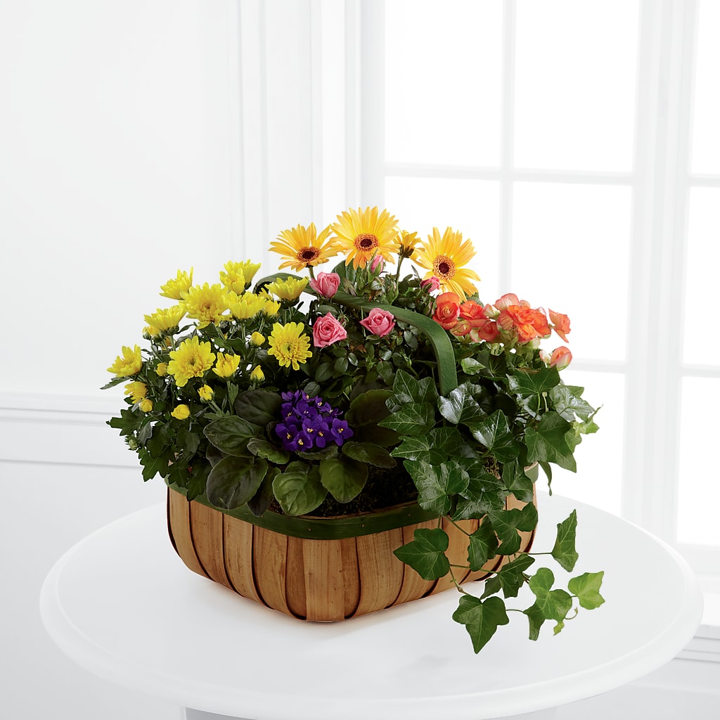 Gentle Blossoms Basket – VEEDERSBURG FLORIST & GIFTS, Veedersburg IN