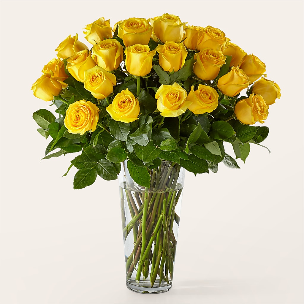Long Stem Yellow Rose Bouquet – VEEDERSBURG FLORIST & GIFTS, Veedersburg IN