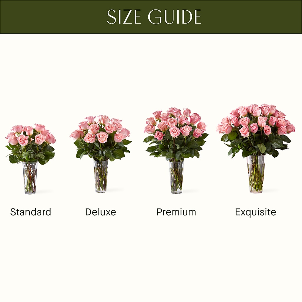 Long Stem Pink Rose Bouquet – VEEDERSBURG FLORIST & GIFTS, Veedersburg IN