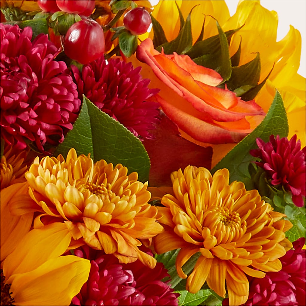 Sweater Season - A Florist Original – VEEDERSBURG FLORIST & GIFTS, Veedersburg IN
