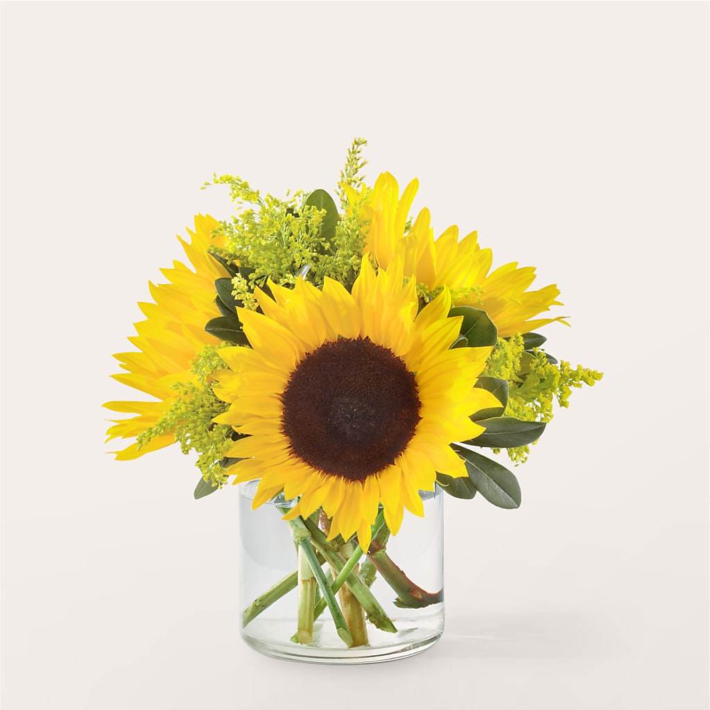 Beaming Sunflower Bouquet – VEEDERSBURG FLORIST & GIFTS, Veedersburg IN