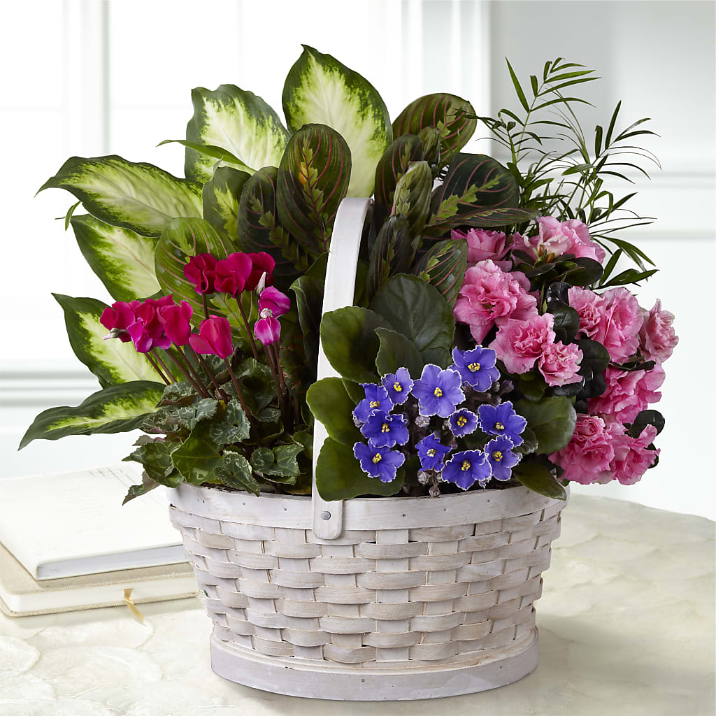 Peaceful Garden Planter – VEEDERSBURG FLORIST & GIFTS, Veedersburg IN
