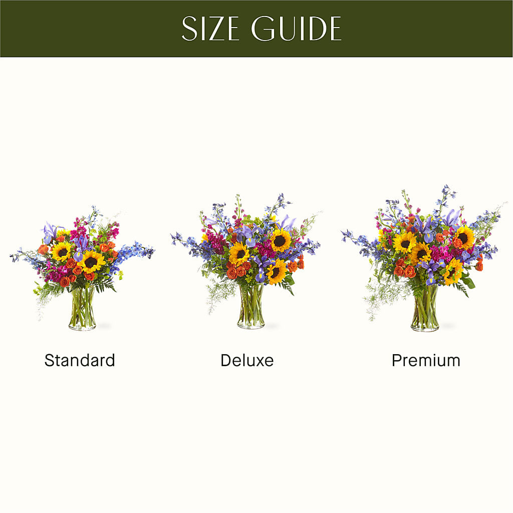 Rays of Life Bouquet – VEEDERSBURG FLORIST & GIFTS, Veedersburg IN