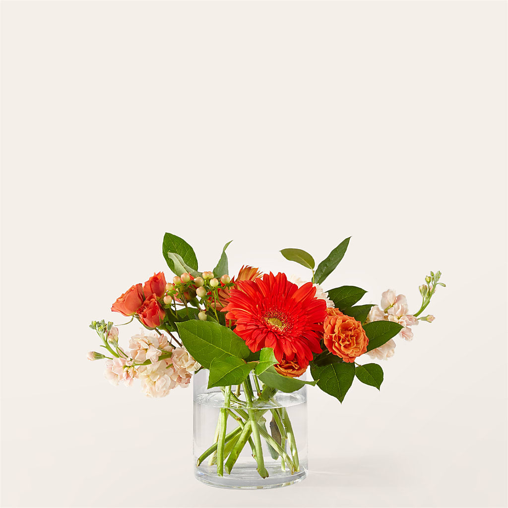 Paloma Please Bouquet – VEEDERSBURG FLORIST & GIFTS, Veedersburg IN