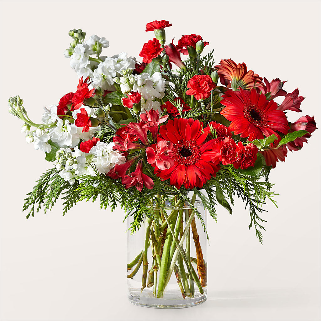 Holidaisy Bouquet – VEEDERSBURG FLORIST & GIFTS, Veedersburg IN