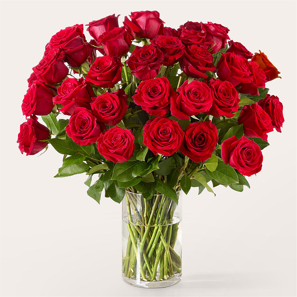 The One Red Rose Bouquet – VEEDERSBURG FLORIST & GIFTS, Veedersburg IN