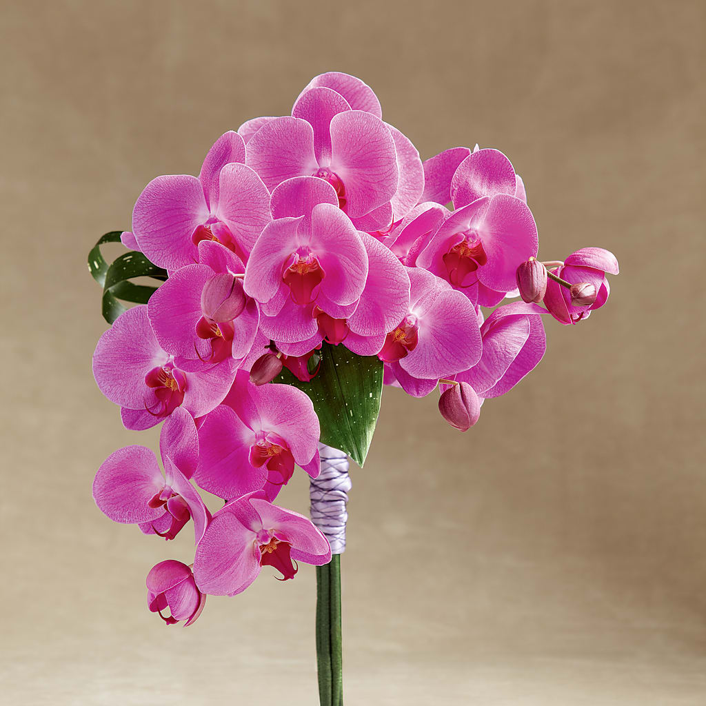 Glorious Bouquet – VEEDERSBURG FLORIST & GIFTS, Veedersburg IN