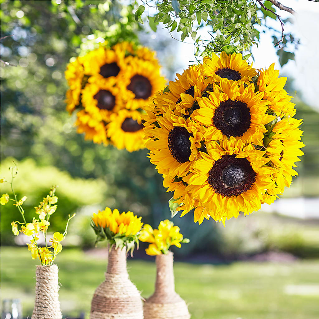 Sublime Garden Hanging Arrangement – VEEDERSBURG FLORIST & GIFTS, Veedersburg IN