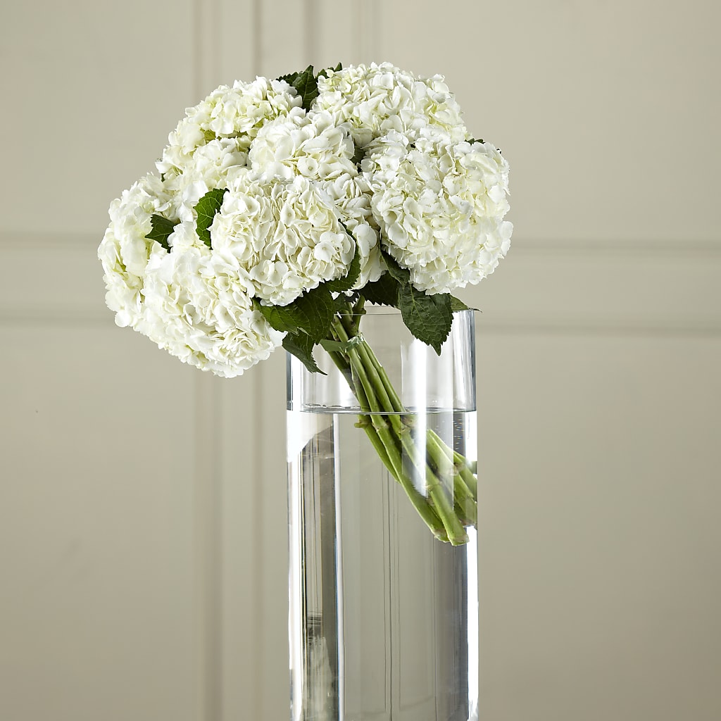 White Hydrangea Hand-Tied Bouquet – VEEDERSBURG FLORIST & GIFTS, Veedersburg IN