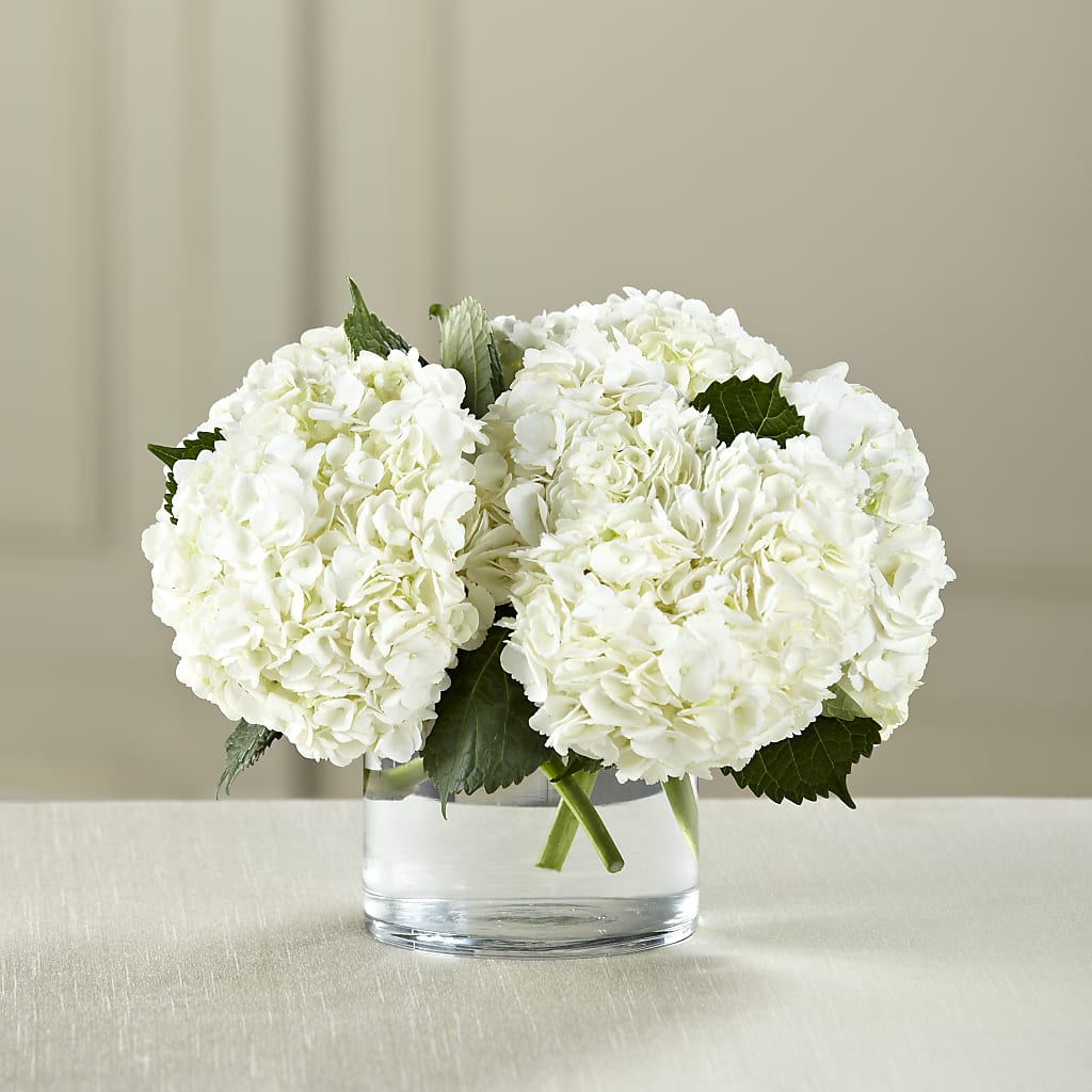 White Hydrangea Bouquet – VEEDERSBURG FLORIST & GIFTS, Veedersburg IN