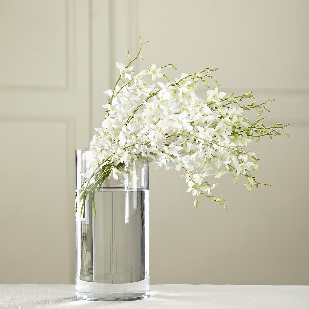White Dendrobium Bouquet – VEEDERSBURG FLORIST & GIFTS, Veedersburg IN