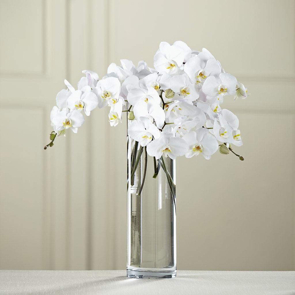 White Phalaenopsis Bouquet – VEEDERSBURG FLORIST & GIFTS, Veedersburg IN