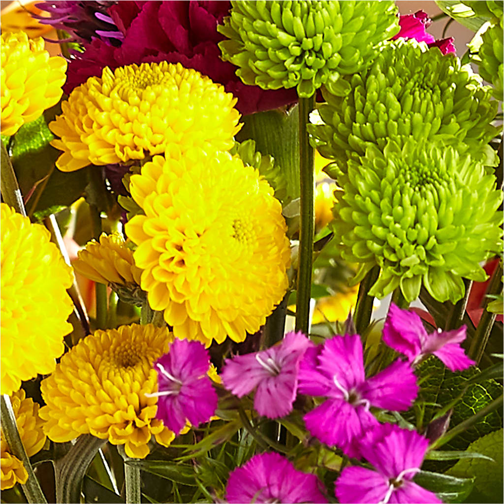 Bold & Bright – A Florist Original – VEEDERSBURG FLORIST & GIFTS, Veedersburg IN