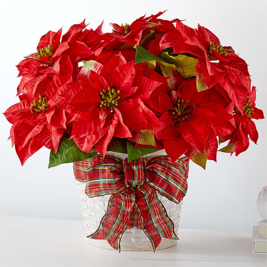 Happiest Holidays Poinsettia