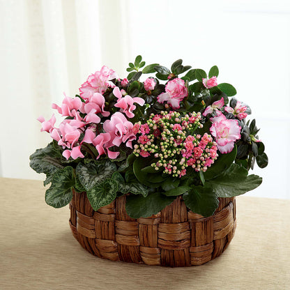 Pink Assortment – VEEDERSBURG FLORIST & GIFTS, Veedersburg IN