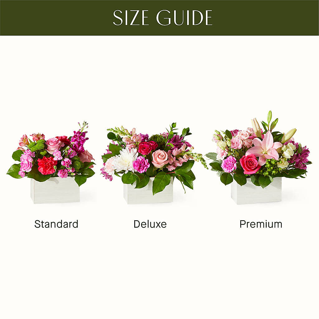 Sweetberry Box – A Florist Original – VEEDERSBURG FLORIST & GIFTS, Veedersburg IN