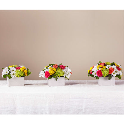 Sorbet Bouquet – VEEDERSBURG FLORIST & GIFTS, Veedersburg IN