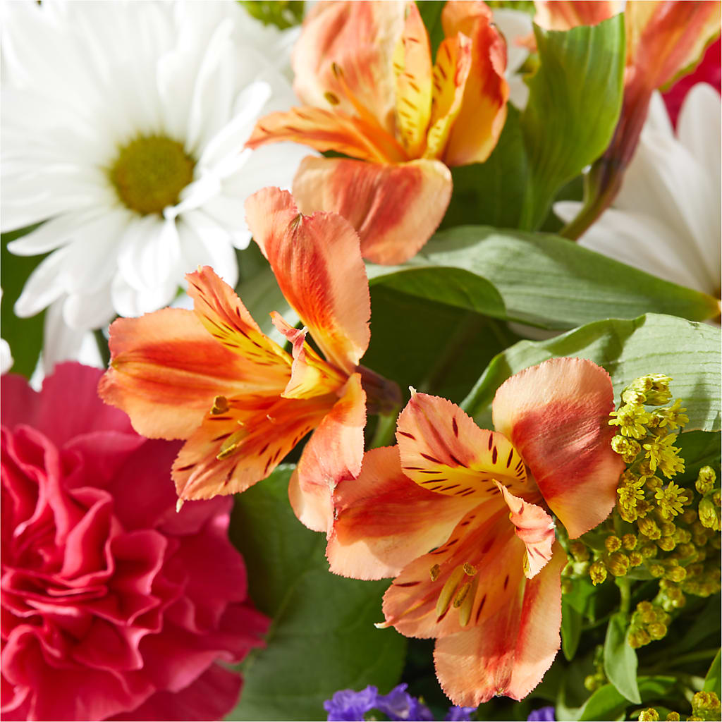 Oopsie Daisy Box Bouquet – VEEDERSBURG FLORIST & GIFTS, Veedersburg IN