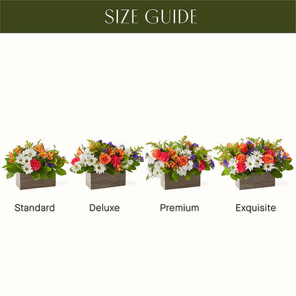 Oopsie Daisy Box Bouquet – VEEDERSBURG FLORIST & GIFTS, Veedersburg IN