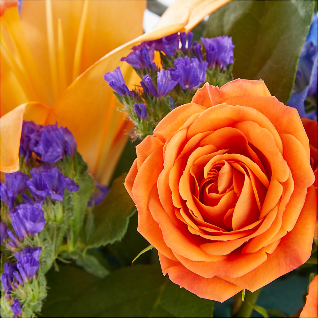 Radiant Citrus Box Bouquet – VEEDERSBURG FLORIST & GIFTS, Veedersburg IN