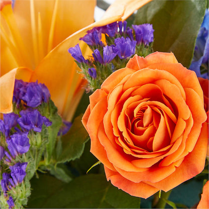 Radiant Citrus Box Bouquet – VEEDERSBURG FLORIST & GIFTS, Veedersburg IN
