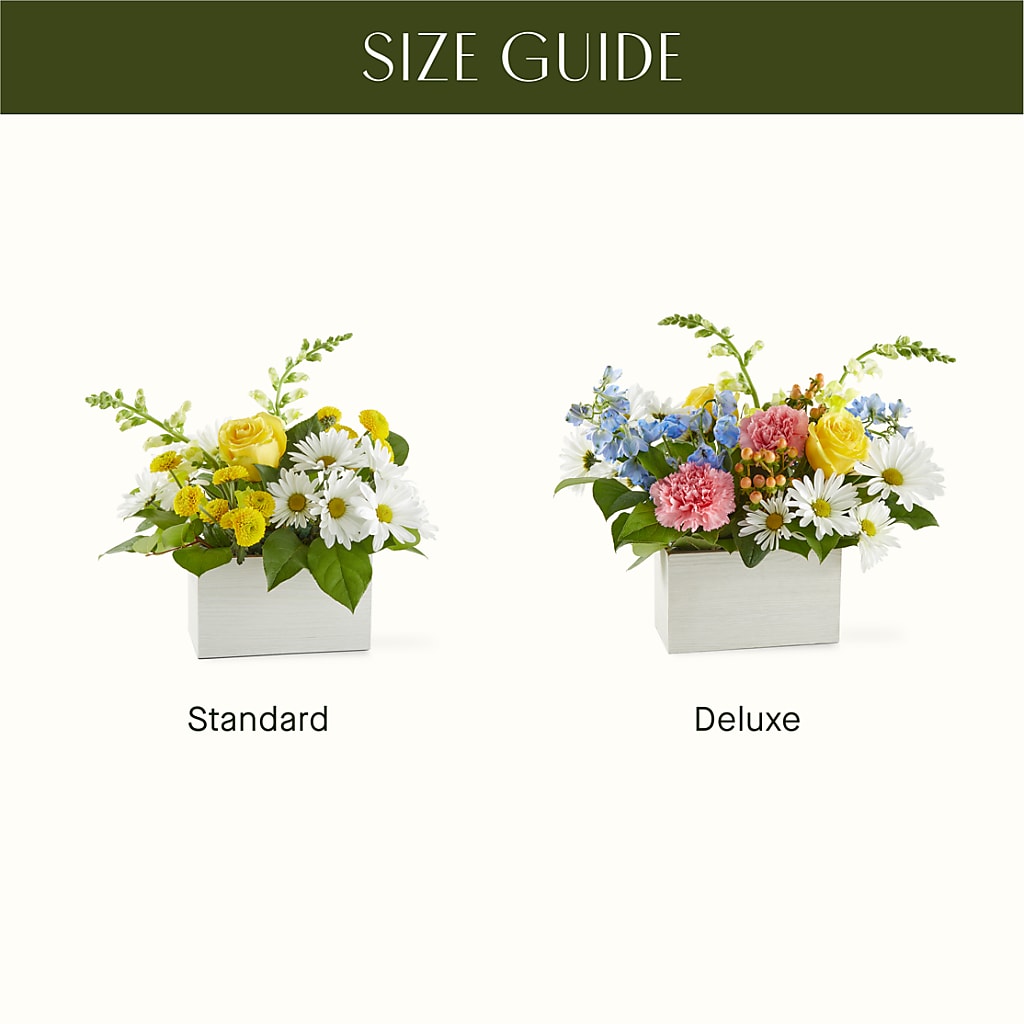 Sun Salutation Box Bouquet – VEEDERSBURG FLORIST & GIFTS, Veedersburg IN
