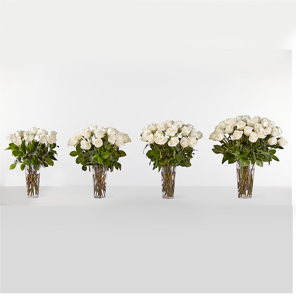 Long Stem White Rose Bouquet – VEEDERSBURG FLORIST & GIFTS, Veedersburg IN