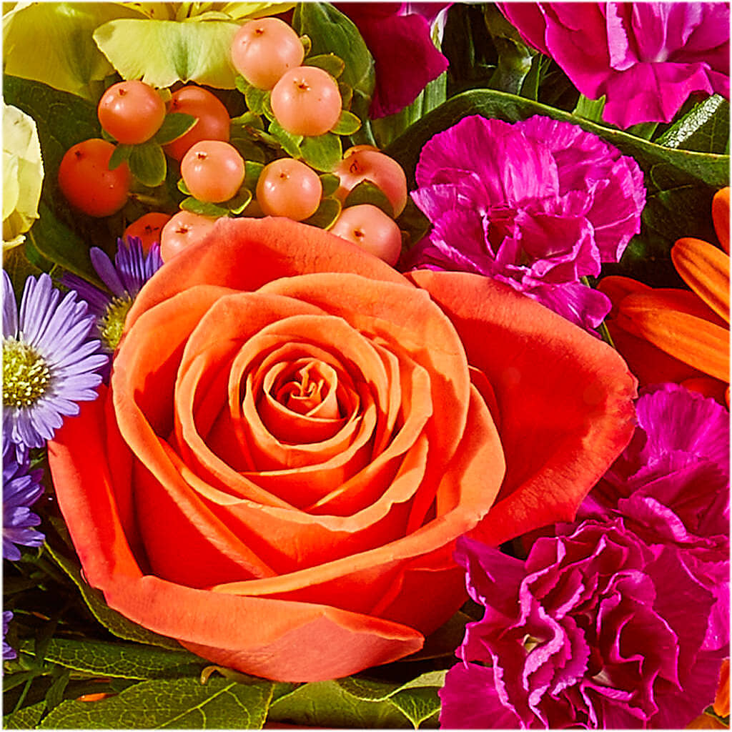 Tricks & Treats Pumpkin – VEEDERSBURG FLORIST & GIFTS, Veedersburg IN