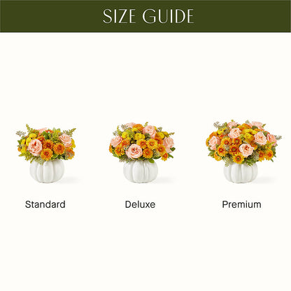 Peachy Pumpkin – VEEDERSBURG FLORIST & GIFTS, Veedersburg IN