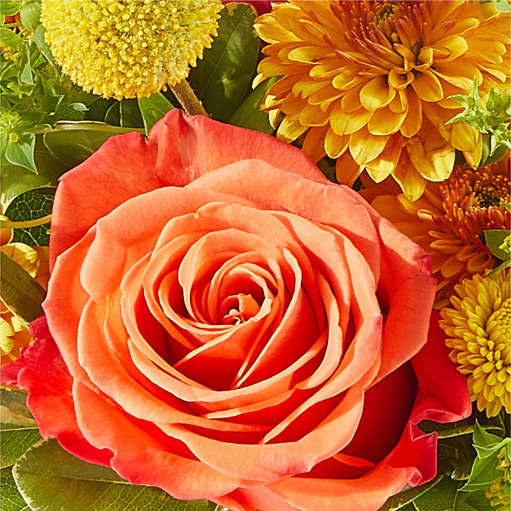 Gourdgeous Pumpkin – VEEDERSBURG FLORIST & GIFTS, Veedersburg IN