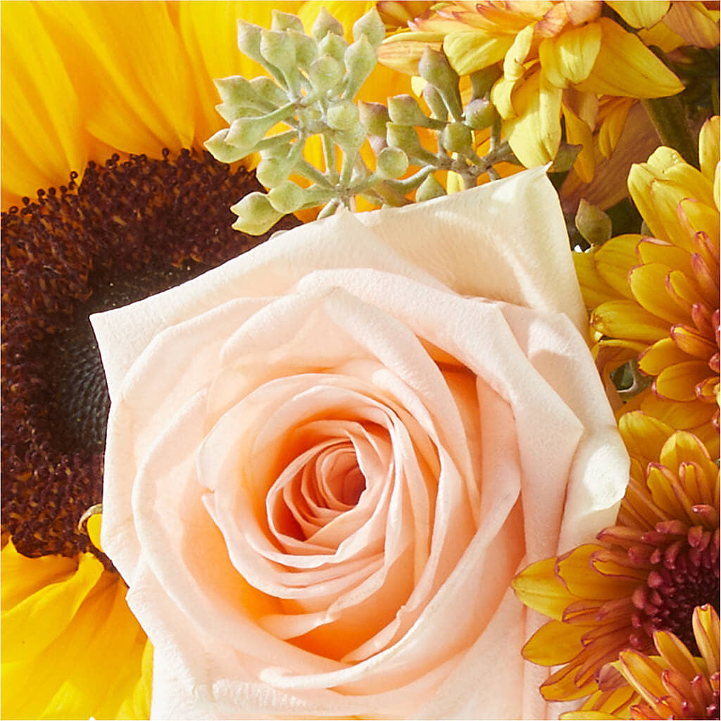 Pumpkin to Talk About Bouquet – VEEDERSBURG FLORIST & GIFTS, Veedersburg IN