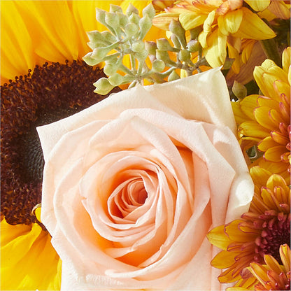 Pumpkin to Talk About Bouquet – VEEDERSBURG FLORIST & GIFTS, Veedersburg IN