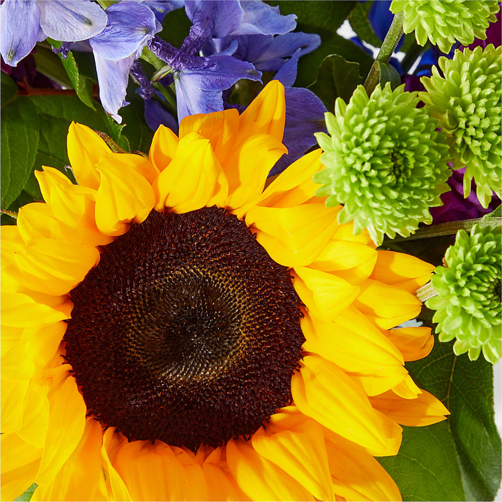 Catching Rays Bouquet – VEEDERSBURG FLORIST & GIFTS, Veedersburg IN