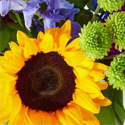 Catching Rays Bouquet – VEEDERSBURG FLORIST & GIFTS, Veedersburg IN