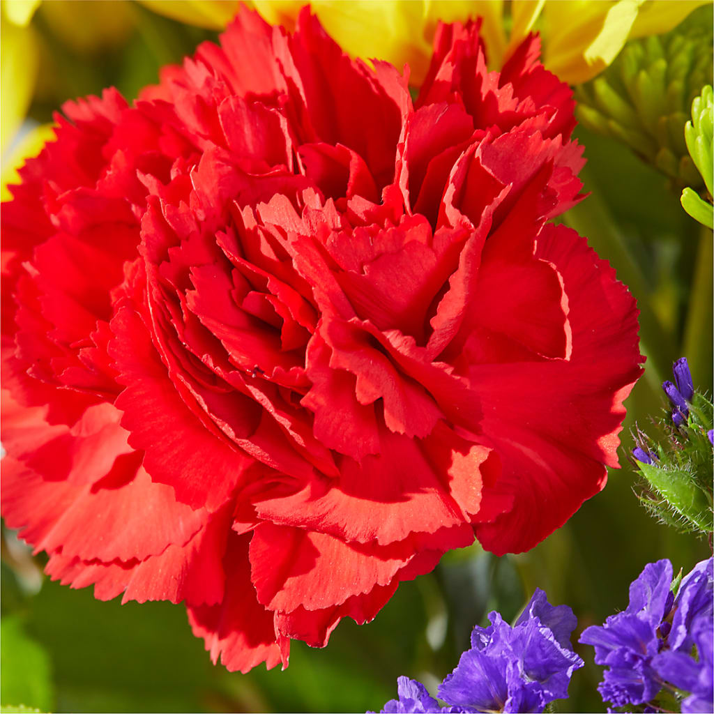 Brighter Days Bouquet – VEEDERSBURG FLORIST & GIFTS, Veedersburg IN