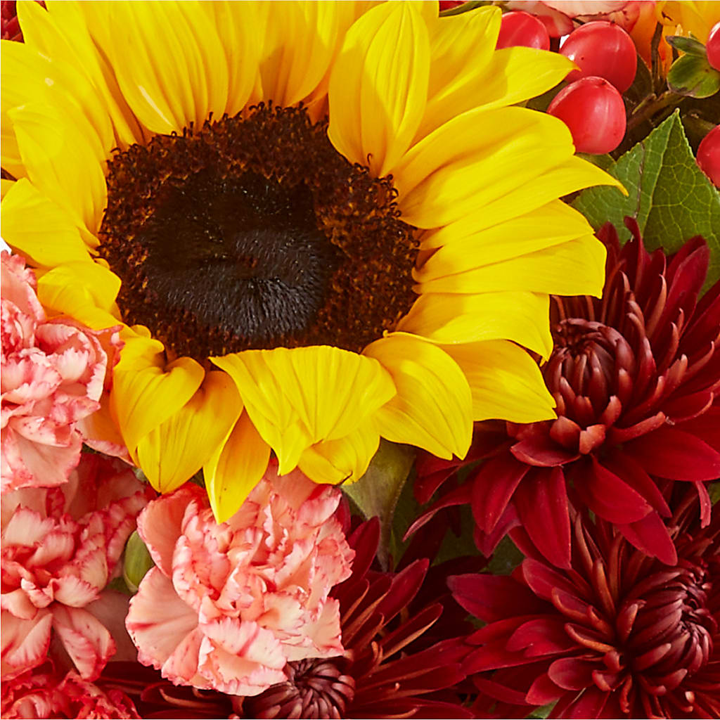 Fresh Cider Bouquet – VEEDERSBURG FLORIST & GIFTS, Veedersburg IN