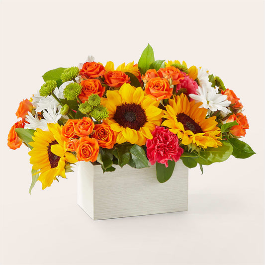 Sun-drenched Blooms Box Bouquet – VEEDERSBURG FLORIST & GIFTS, Veedersburg IN