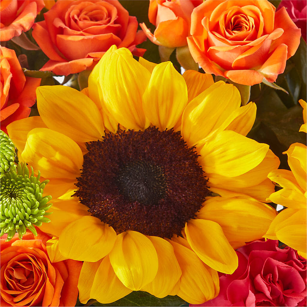 Sun-drenched Blooms Box Bouquet – VEEDERSBURG FLORIST & GIFTS, Veedersburg IN
