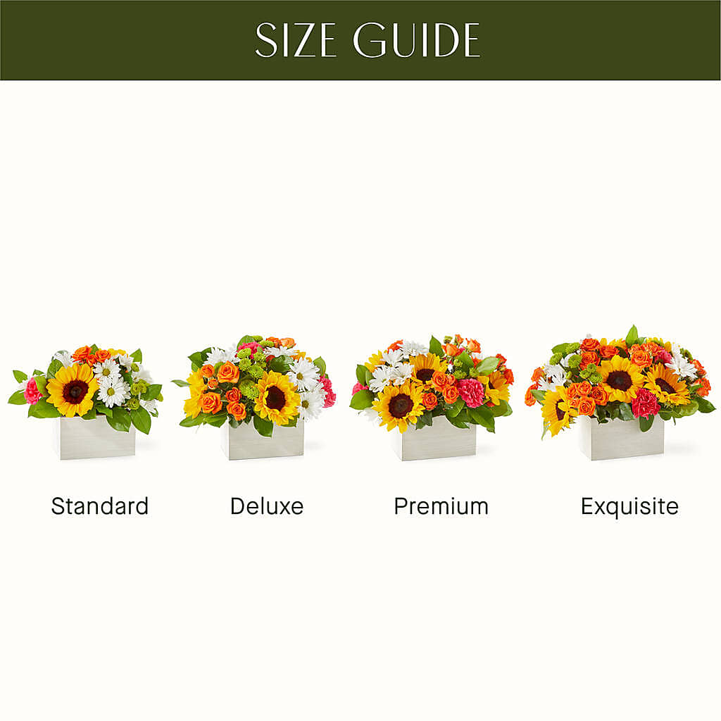 Sun-drenched Blooms Box Bouquet – VEEDERSBURG FLORIST & GIFTS, Veedersburg IN