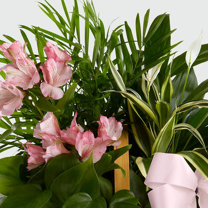 Living Spirit Dishgarden – VEEDERSBURG FLORIST & GIFTS, Veedersburg IN
