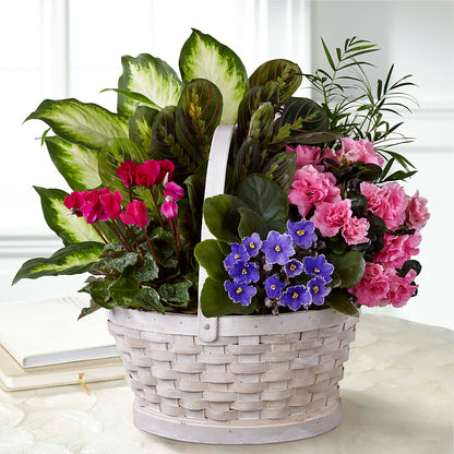 Peaceful Garden Planter – VEEDERSBURG FLORIST & GIFTS, Veedersburg IN