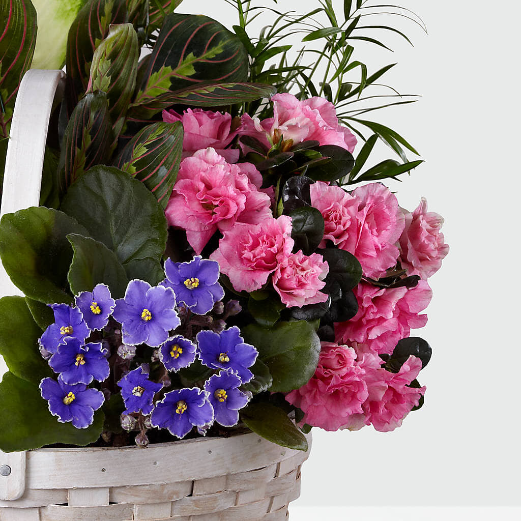 Peaceful Garden Planter – VEEDERSBURG FLORIST & GIFTS, Veedersburg IN