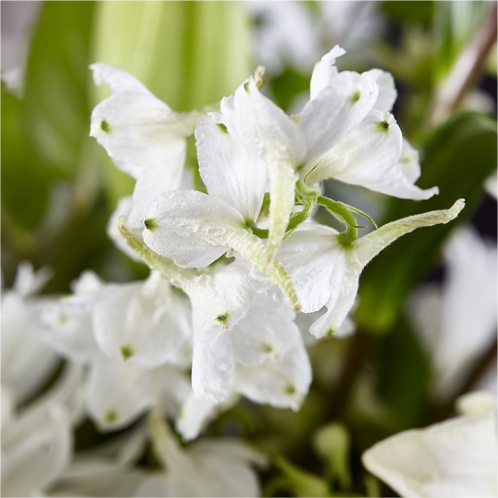 Classic Ivory – A Florist Original – VEEDERSBURG FLORIST & GIFTS, Veedersburg IN