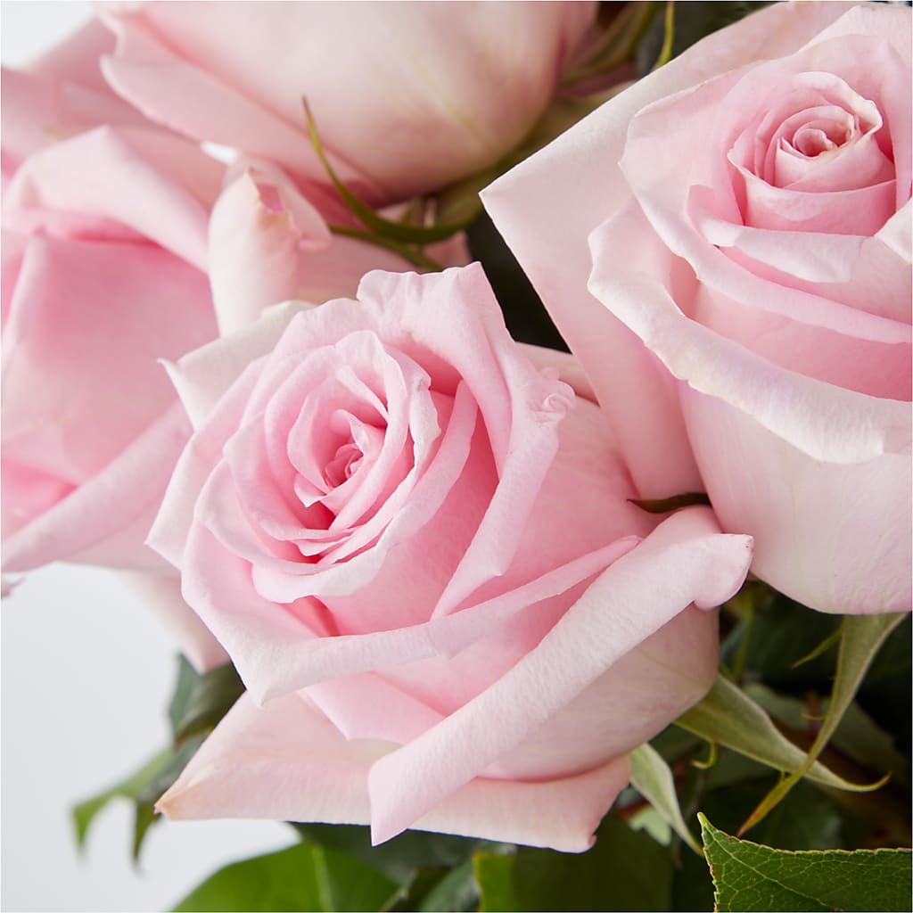 Picture Perfect Pink Rose Bouquet – VEEDERSBURG FLORIST & GIFTS, Veedersburg IN