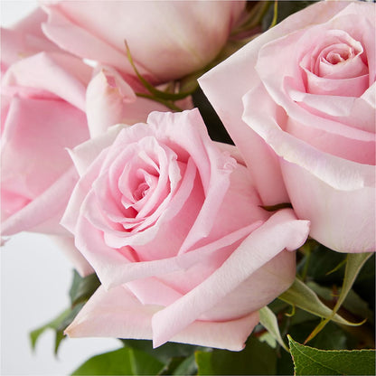 Picture Perfect Pink Rose Bouquet – VEEDERSBURG FLORIST & GIFTS, Veedersburg IN
