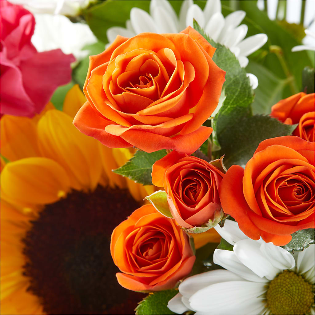 Sun-drenched Blooms Bouquet – VEEDERSBURG FLORIST & GIFTS, Veedersburg IN