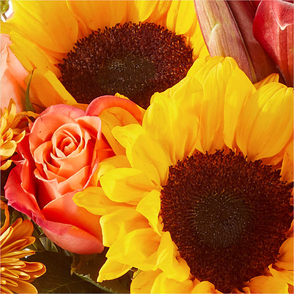 Acorn Lane Bouquet – VEEDERSBURG FLORIST & GIFTS, Veedersburg IN