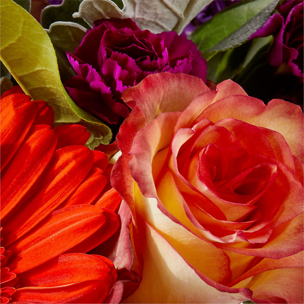 Sangria Bouquet – VEEDERSBURG FLORIST & GIFTS, Veedersburg IN